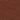 Brown Lizard